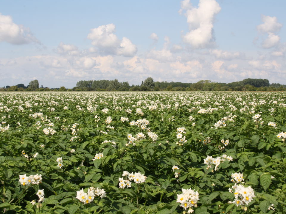 30 06 11 Uitbetalingsvergadering Kruisland 0390